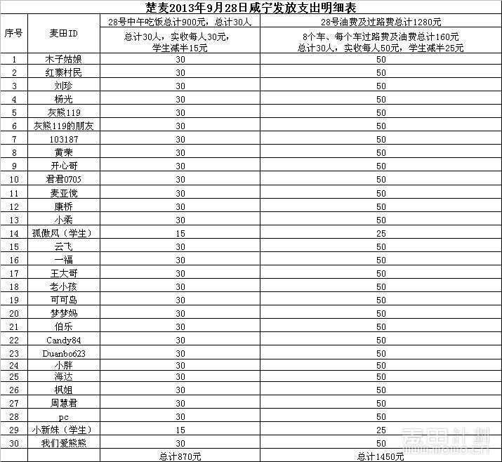 收入支出明细表模板_日收入支出明细表