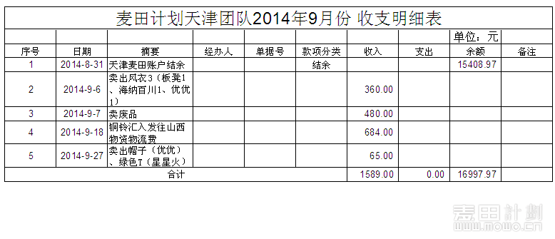 收入支出明细表模板_日收入支出明细表(3)